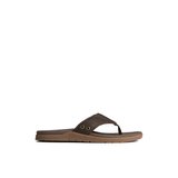 Ssantacruzii_mm - Flat Heel - Flip Flop Thong Sandals