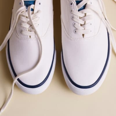 CVO - Timeless Silhouette