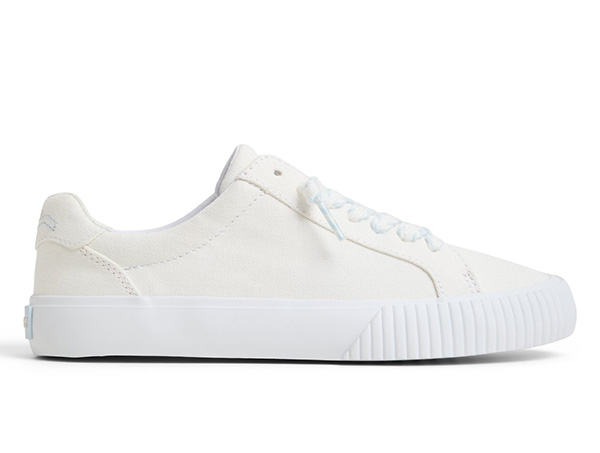 Bermuda LTT Sneakers