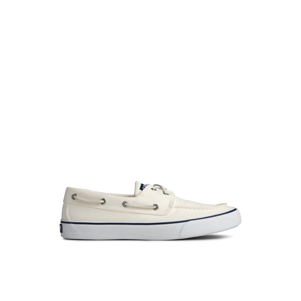 sperry white canvas shoes