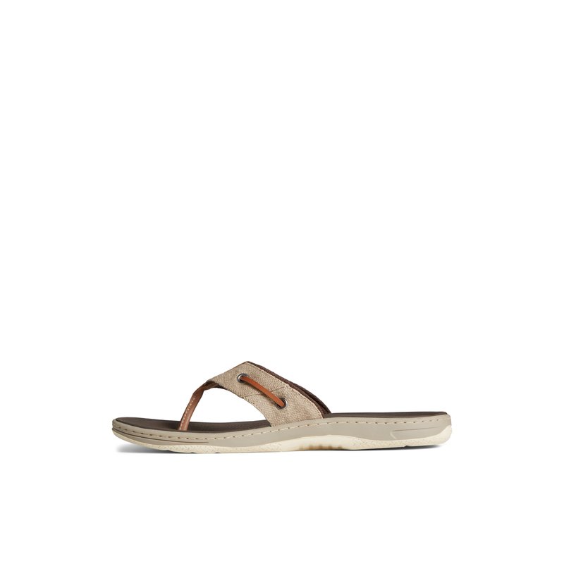 Sperry top sider flip flops mens hot sale