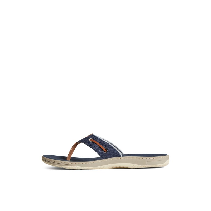 Sperry baitfish flip flops sales