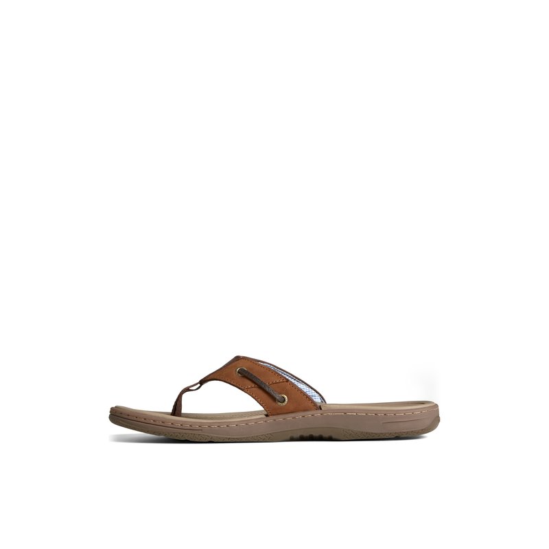 Sperry Men s Baitfish Thong