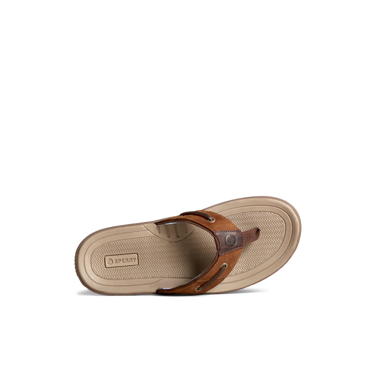 Sperry baitfish clearance