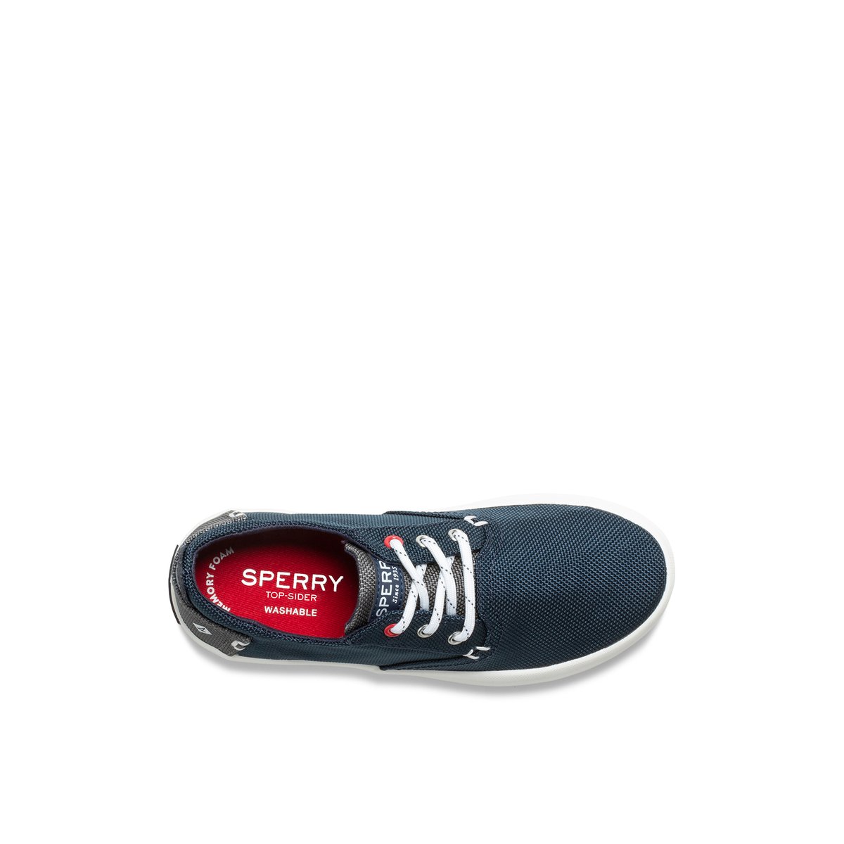 Sperry bodie sneaker top