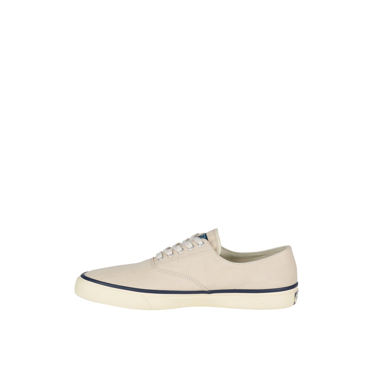 Sperry skate shoes hot sale