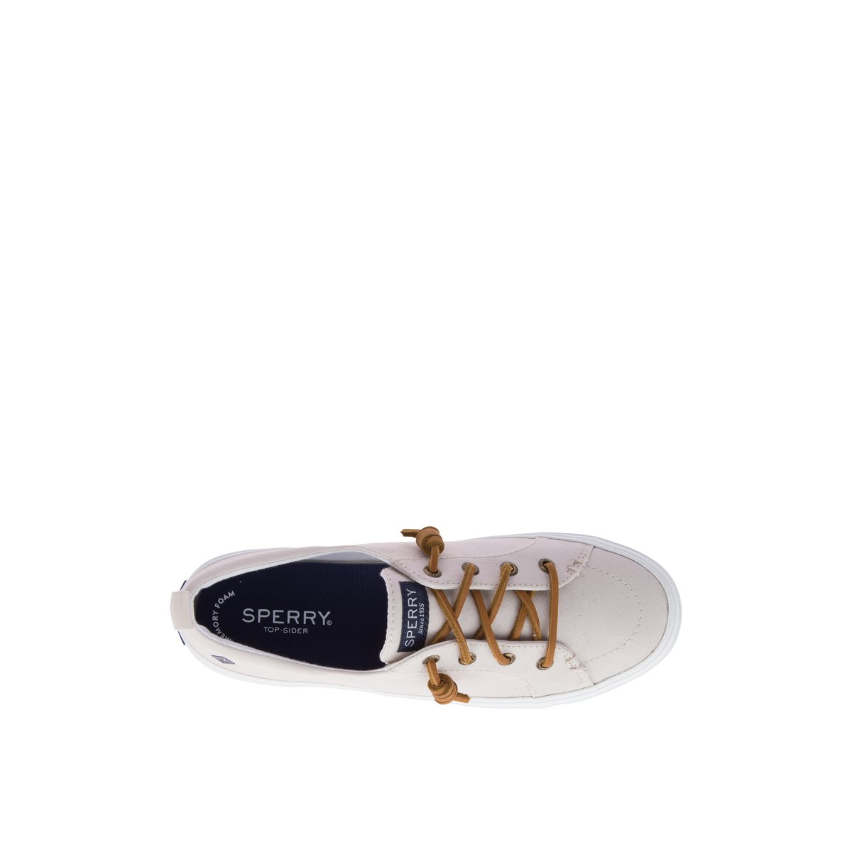 sperry rose shoes