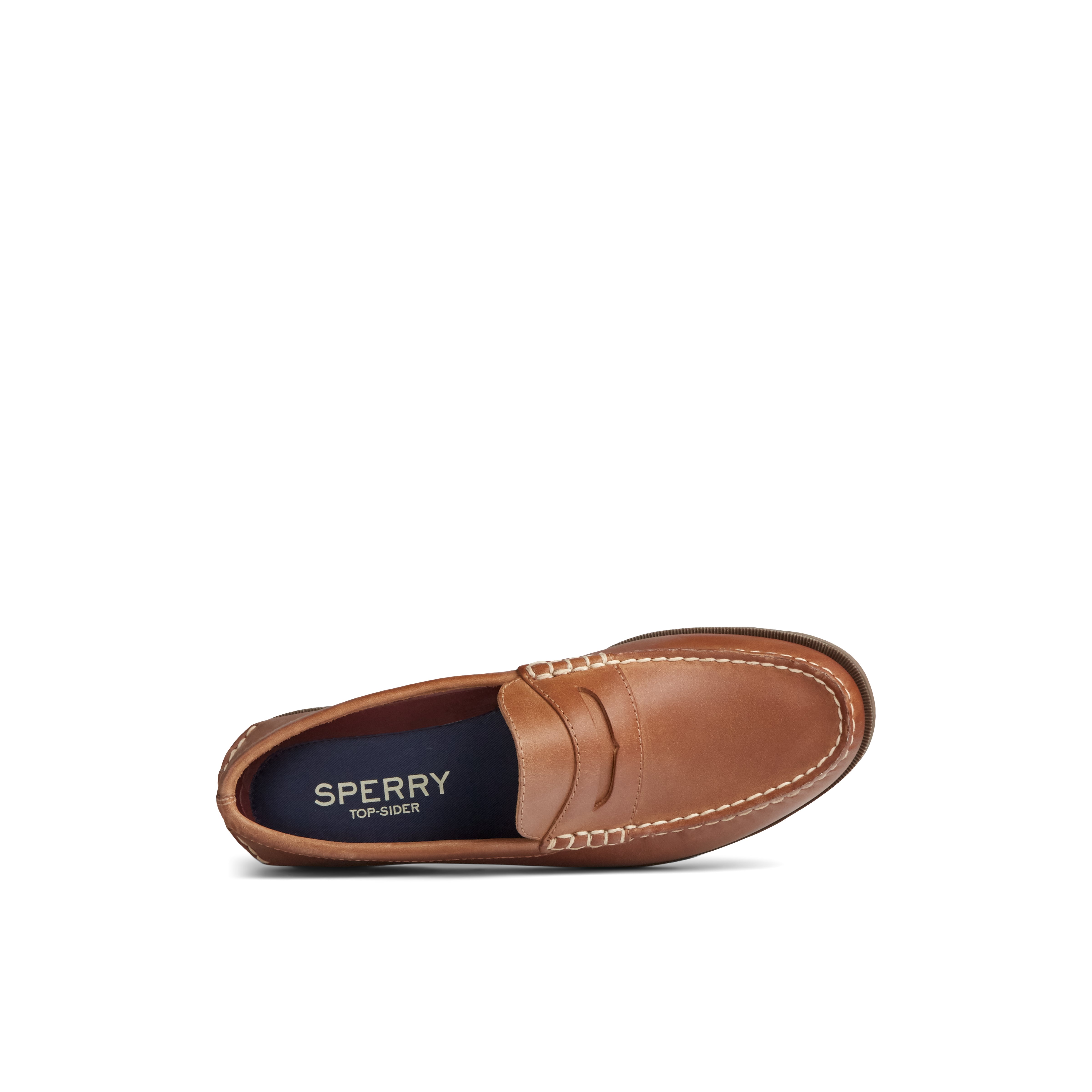 sperry levy loafer