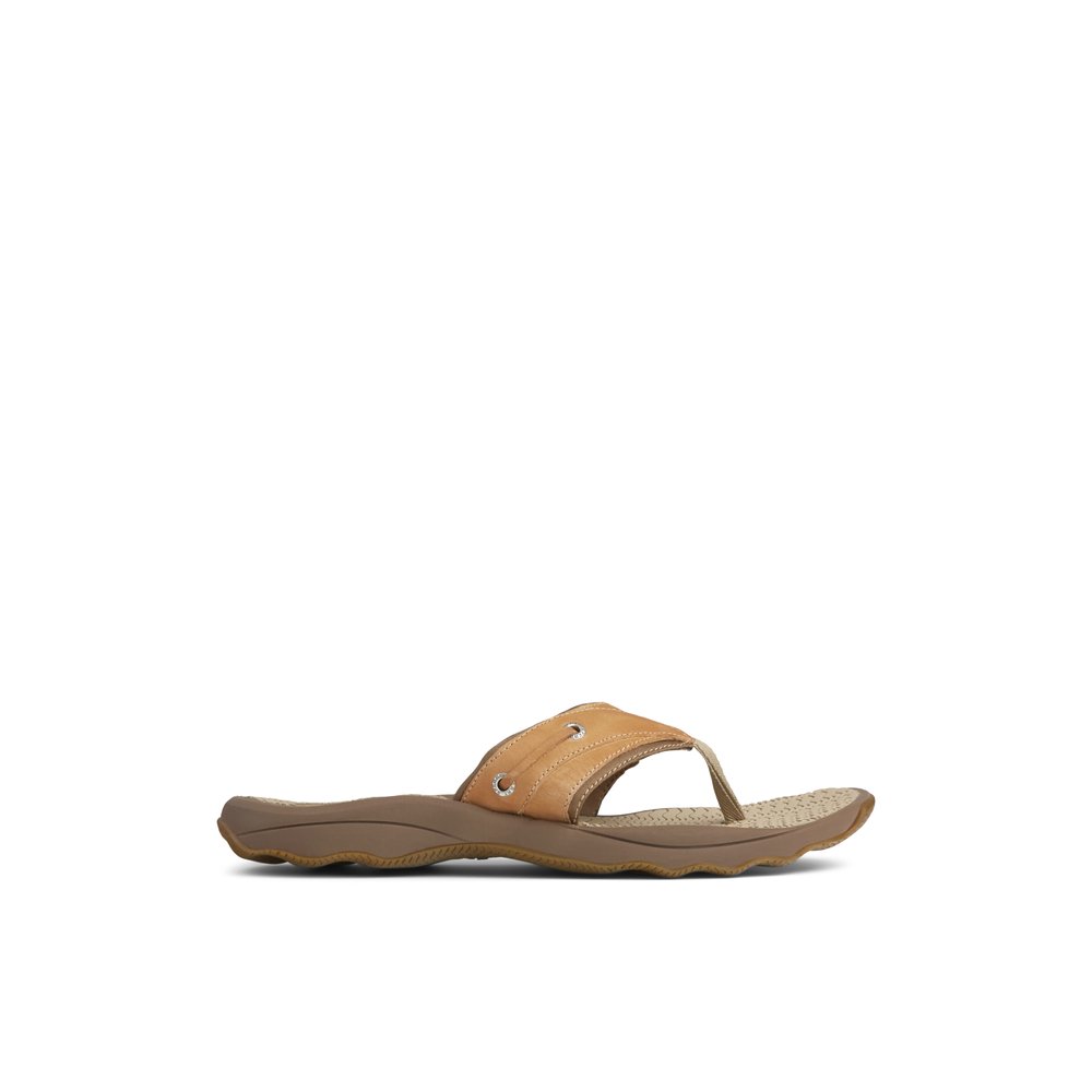 sperry men's slide sandals
