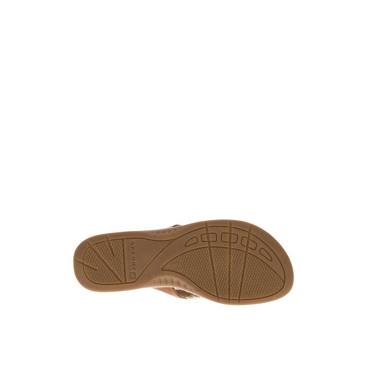 Sperry parrotfish sandal online