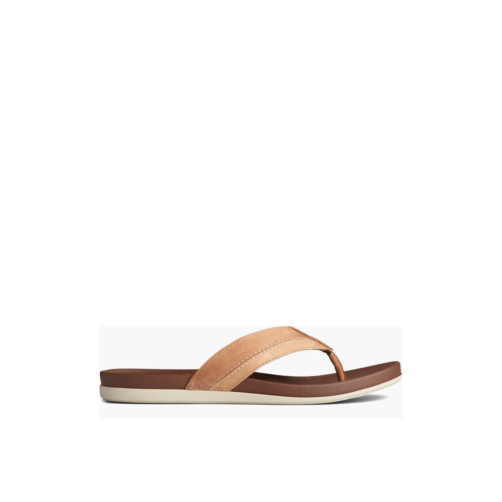 sperry men's sandals sale