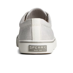 春夏新作 scstriperiic_mm_grey_020-003- ギター