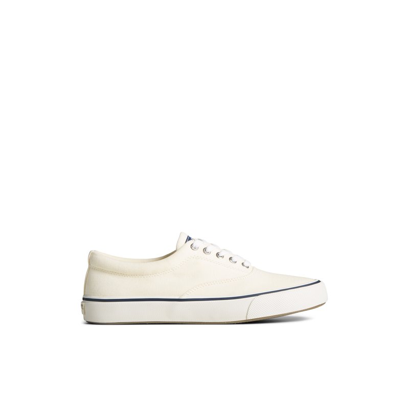 scstripiicvo_mm_white_100-003- scstripiicvo_mm_white_100-003-