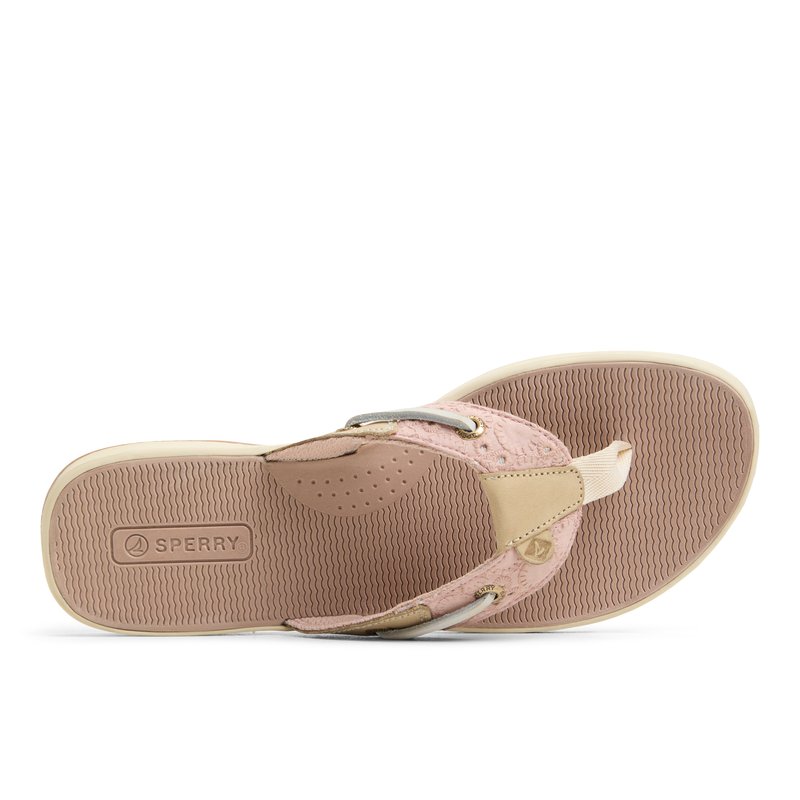 行列のできるレビュー商品、集めました。高評価アイテム Rose Seafish_wm Women's US Sperry | Leather ウイスキー