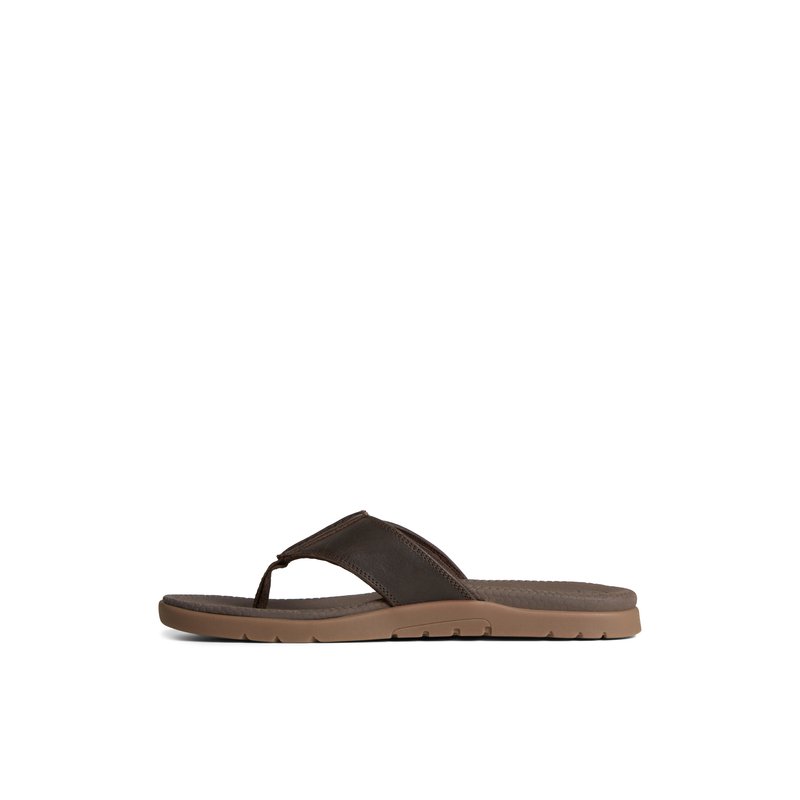 Santa Cruz II Thong Sandal Brown Men s Sandals Sperry US