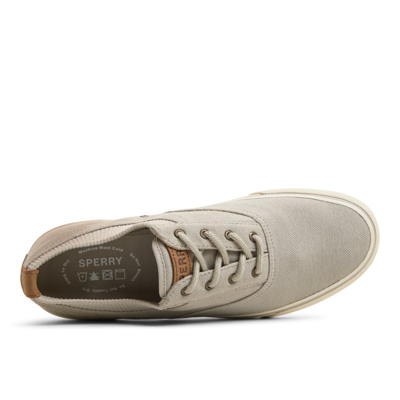 ナーフ Striperiiknt_mm Grey Men's Sneakers | Sperry US