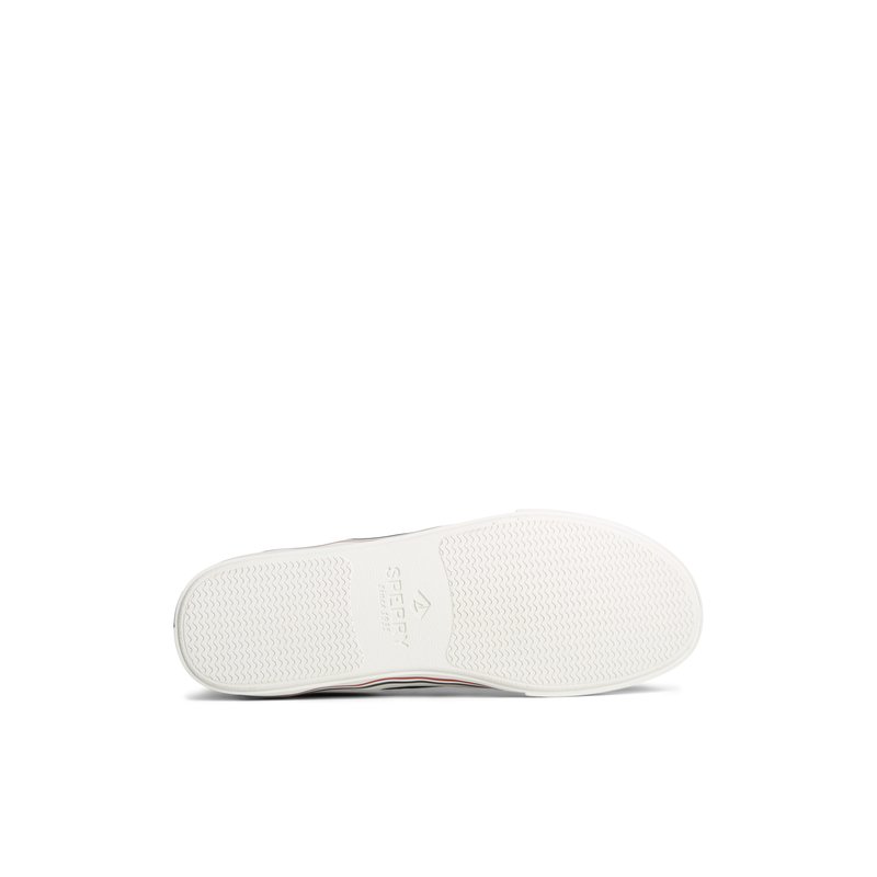 Striperiinau_mm Navy Unisex Sneakers | Sperry US