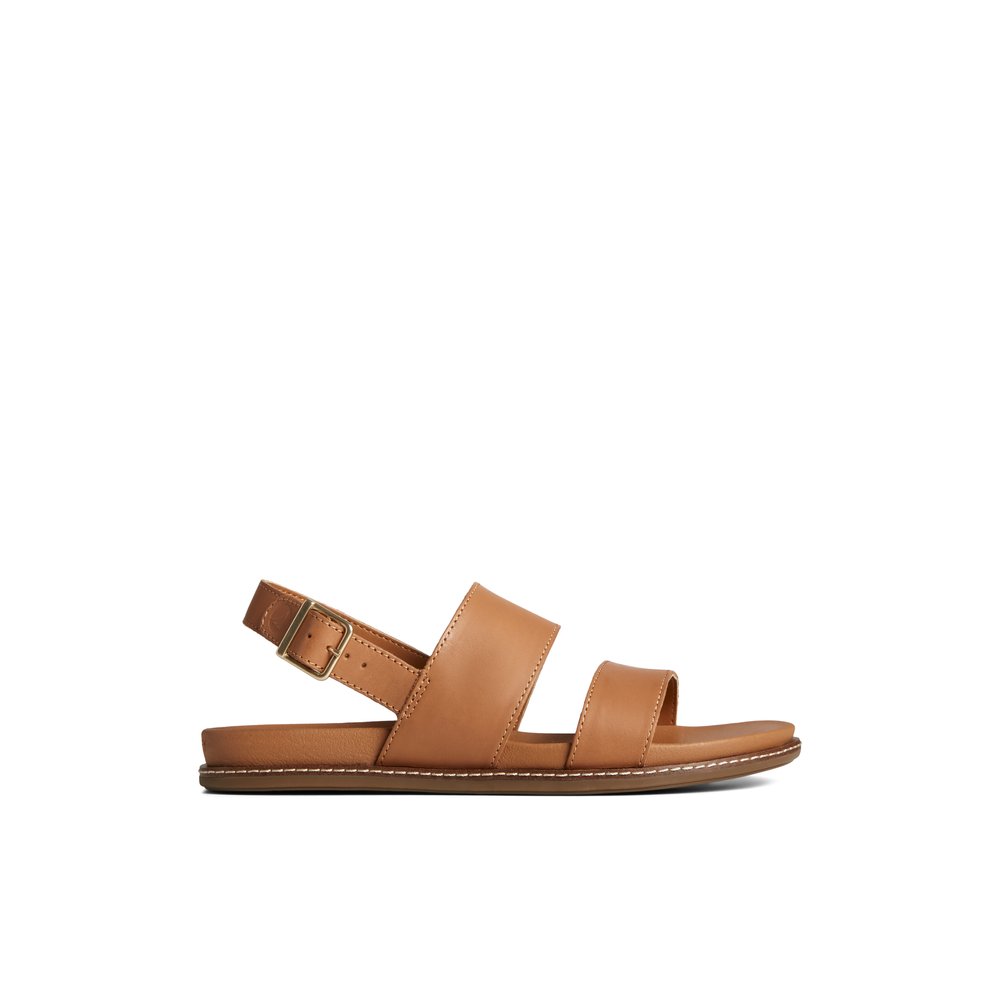 Waveside PLUSHWAVE™ Backstrap Sandal 
